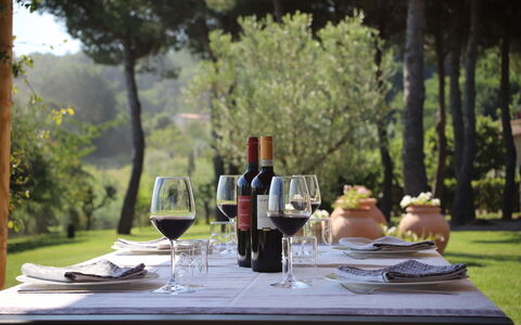 Villa Petrosa: Your Private Escape Overlooking the: Mobilia, Tavola, Tavolo, Bicchieri, Stemware, Mobili Da Esterno, Bicchiere Di Vino, Barware, Vino