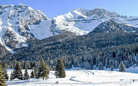Carlotta: Neve, Montagna, Cielo, Geografia Montane, Inverno, Albero, Catena Montuosa, Terreno, Highland, Geomorfologia Glaciale