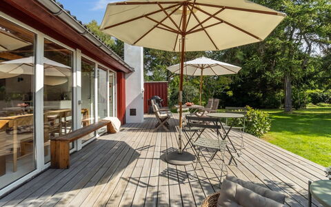 Lauri - 2.3Km from the Sea: Vegetazione, Arbusto, Primavera, Villetta, Giardino, Shade, Backyard, Cortile, Sedia