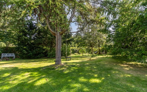 Lauri - 2.3Km from the Sea: Vegetazione, Arbusto, Primavera, Villetta, Giardino, Shade, Backyard, Cortile, Sedia