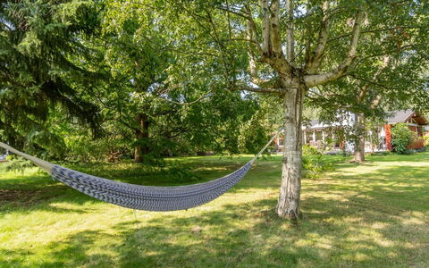 Lauri - 2.3Km from the Sea: Vegetazione, Arbusto, Primavera, Villetta, Giardino, Shade, Backyard, Cortile, Sedia