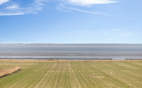 Freja - 12Km from the Sea: Estate, Shade, Driveway, Agriturismo