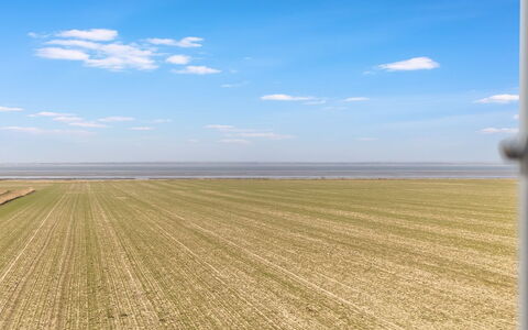 Freja - 12Km from the Sea: Estate, Shade, Driveway, Agriturismo