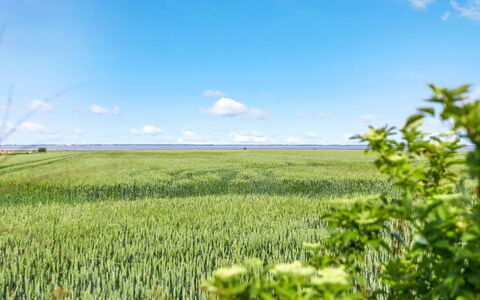 Freja - 12Km from the Sea: Estate, Shade, Driveway, Agriturismo
