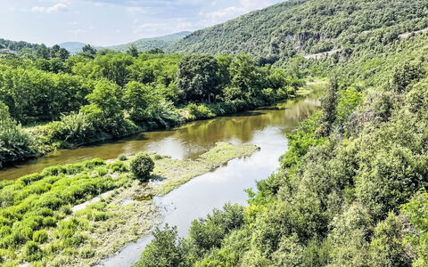 Castellas: Risorse Idriche, Acqua, Corpo D'Acqua, Natura, Ambiente Naturale, Paesaggio Naturale, Verde, Alveo, Vegetazione, Stream