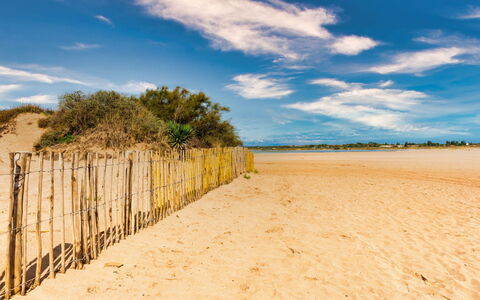 La Dune: Cielo, Blu, Giorno, Ambiente Naturale, Orizzonte, Spiaggia, Nube, Sabbia, Ecoregione, Estate