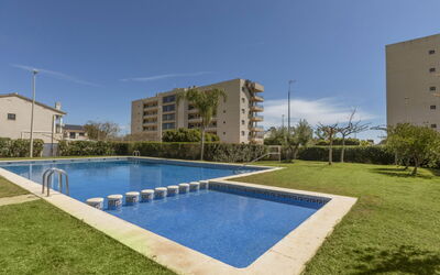 Torrenova Iv