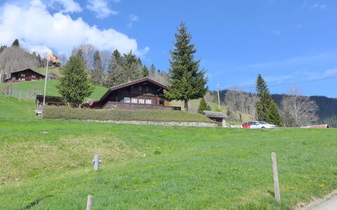 Chalet Träumli: Erba, Albero, Pascolo, Casa, Area Rurale, Collina, Highland, Paesaggio, Plain