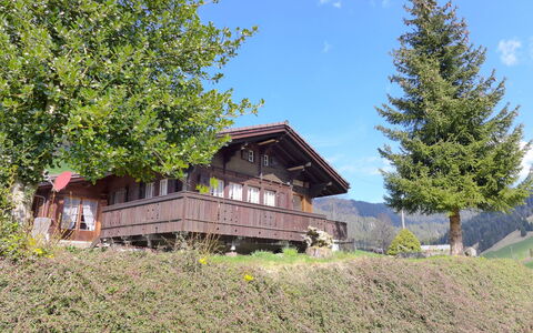 Chalet Träumli: Albero, Casa, Tetto, Villetta, Area Rurale, Paesaggio, Casa, Agriturismo, Hill Station