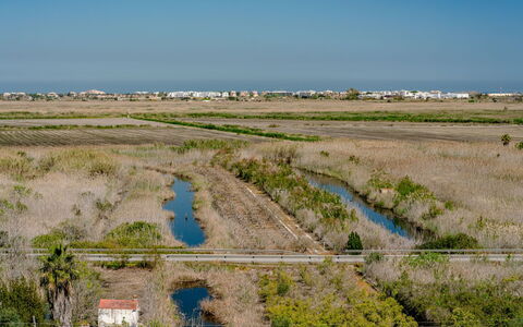 Los Delfines: Appartamento, Mobilia, Zona Residenziale, Balcone, Condominio, Sedia, Shade, Ricorrere, Costa, Hotel