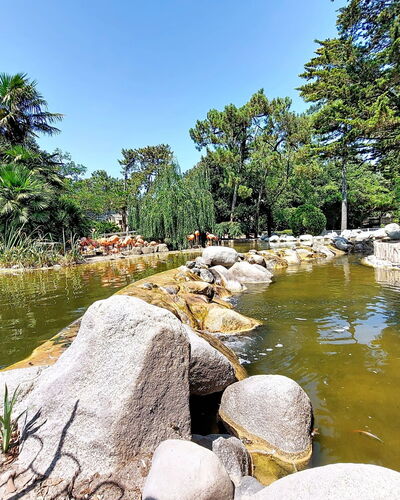 La Palmeraie