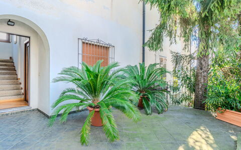 Mariarosa: Appartamento, Mobilia, Zona Residenziale, Balcone, Condominio, Sedia, Shade, Ricorrere, Costa, Hotel