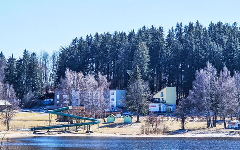 Lakeview Luxury Lodge & Garden: Albero, Inverno, Neve, Congelamento, Larice, Sempreverde, Pine Famiglia