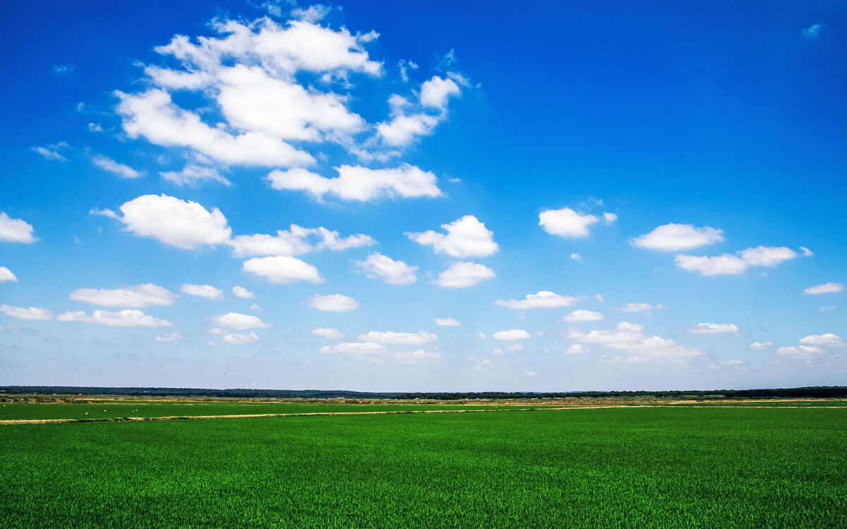 Ua 26- Villa Princesa