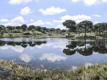 Ua 26- Villa Princesa