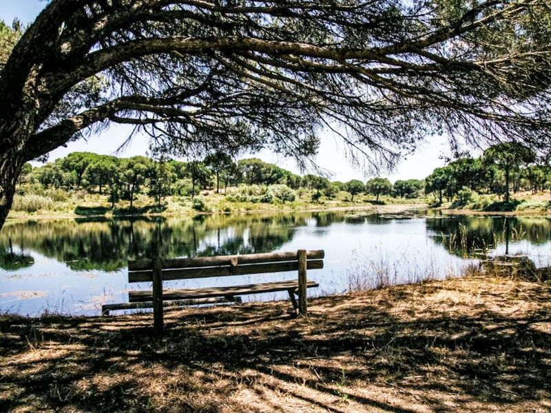 Ua 26- Villa Princesa