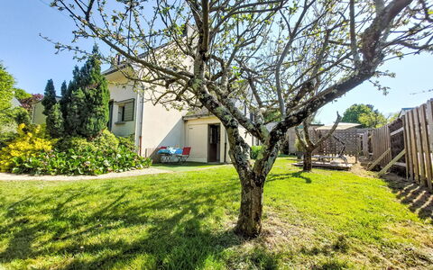 Charme de Banastère: Ramo, Arbusto, Giardino, Primavera, Prato, Luce Del Sole, Woody Impianto, Shade, Cortile, Landscaping