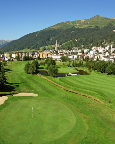Davos 690