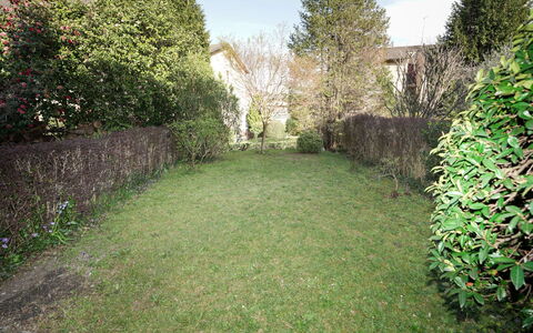 Re.ri: Erba, Arbusto, Groundcover, Giardino, Prato, Backyard, Woody Impianto, Hedge, Landscaping