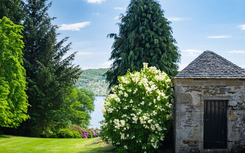 Farmburn Bothy: Verde, Foglia, Fiore, Vegetazione, Arbusto, Giardino, Primavera, Groundcover, Landscaping, Giardino Botanico