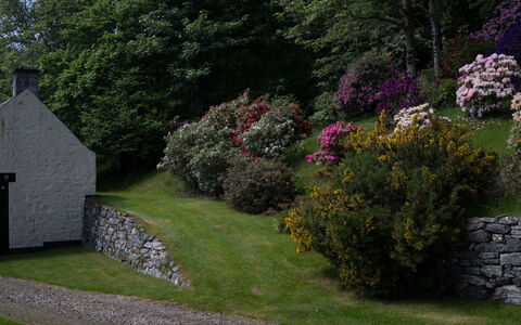 Farmburn Bothy: Erba, Foglia, Arbusto, Paesaggio, Giardino, Comunita 'Impianto, Villetta, Groundcover, Muro ​​Di Pietra
