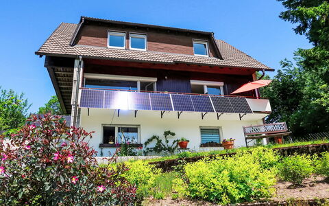 Blackforest Birdnest: Costruzione, Casa, Arbusto, Tetto, Casa, Zona Residenziale, Villetta, Lotto, Primavera