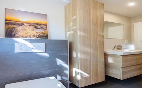 Residence Domburg: Pavimentazione, Interior Design, Pavimento, Parete, Bagno, Legna, Idraulico Fixture, Mobiletto Del Bagno, Gabinetto, Specchio