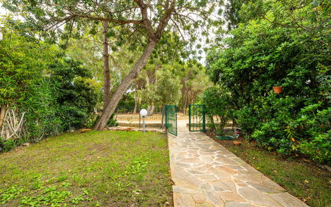 Casa ai Mandorli: Foglia, Vegetazione, Arbusto, Giardino, Trail, Shade, Primavera, Passerella, Woody Impianto, Luce Del Sole