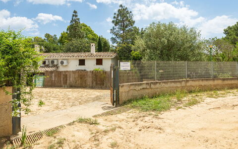 Casa ai Mandorli: Albero, Area Rurale, Lotto, Recinzione, Villaggio, Estate, Suolo, Home Scherma, Backyard, Agriturismo