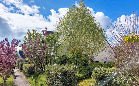 Les Demeures du Parc: Foglia, Ramo, Vegetazione, Arbusto, Giardino, Comunita 'Impianto, Primavera, Groundcover, Woody Impianto, Ramoscello