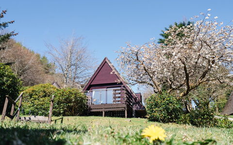 Sandpiper Lodge: Villetta, Primavera, Giardino, Tempo Libero, Agriturismo, Cortile, Landscaping, Fiorire, Portico, Edifici Giardino