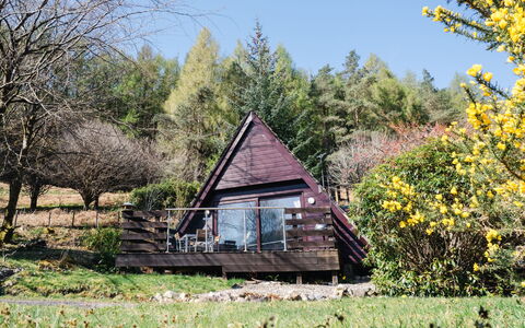 Oystercatcher: Legna, Villetta, Area Rurale, Giardino, Log Cabin, Latifoglie, Edifici Giardino, Capanna, Cortile, Landscaping