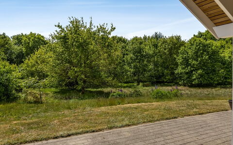 Truels - 30Km from the Sea: Verde, Foglia, Ramo, Vegetazione, Arbusto, Plain, Giardino, Woody Impianto, Luce Del Sole, Prato