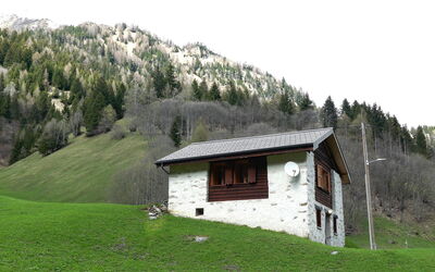 Rustico Carcarida
