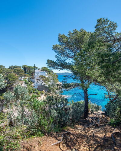 Les Mas du Levant