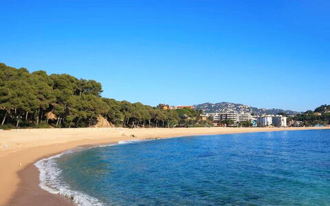 Tramuntana: Corpo D'Acqua, Spiaggia, Mare, Costa, Cielo, Riva, Oceano, Acqua, Costiera E Morfologie Oceanic, Baia
