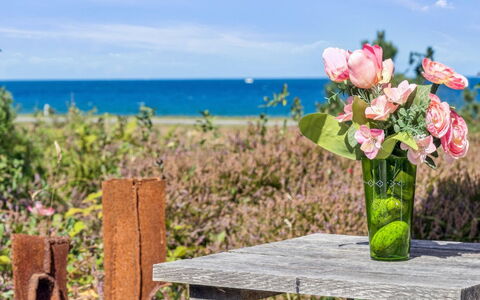 Kaj - 75M from the Sea: Vegetazione, Arbusto, Primavera, Villetta, Giardino, Shade, Backyard, Cortile, Sedia