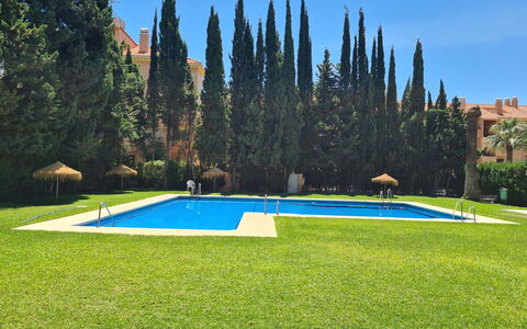 Carib Playa: Piscina, Giardino, Prato, Landscaping, Tempo Libero, Ricorrere, Hacienda, Estate, Cortile, Backyard