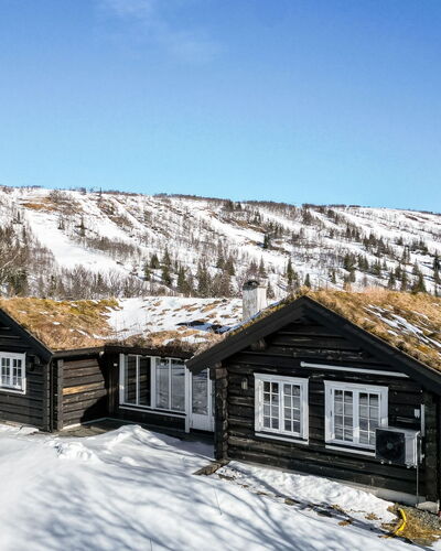 Fjälldrömmen