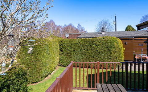 Lodge 4: Arbusto, Hedge, Giardino, Recinzione, Home Scherma, Landscaping, Backyard, Prato, Cortile, Shade