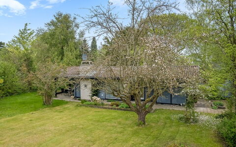 Aatos - 150M from the Sea: Estate, Shade, Driveway, Agriturismo