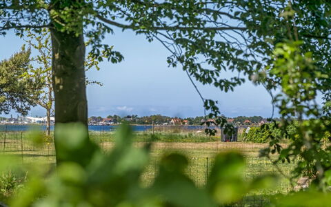 Nnykka - 125M from the Sea: Estate, Shade, Driveway, Agriturismo