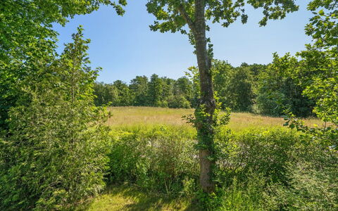 Steffenie - 250M from the Sea: 
