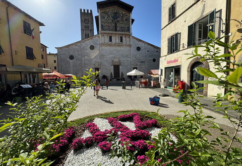 Anna: Costruzione, Finestra, Cittadina, Facciata, Vaso Di Fiori, Ombrello, Tavolo Esterno, Mobili Da Esterno, La Piazza Cittadina, Pianta Della Casa