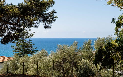 Sanremo 717: Blu, Foglia, Mare, Costa, Oceano, Costiera E Morfologie Oceanic, Riva, Tropici, Spiaggia, Baia