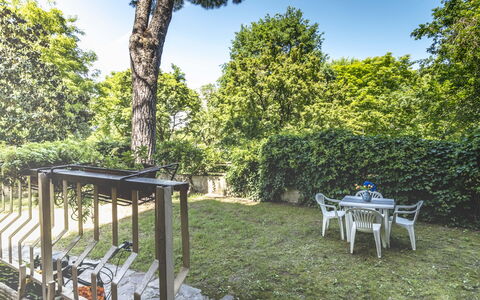 Suite Vogel: Foglia, Arbusto, Giardino, Shade, Primavera, Luce Del Sole, Backyard, Prato, Landscaping, Cortile