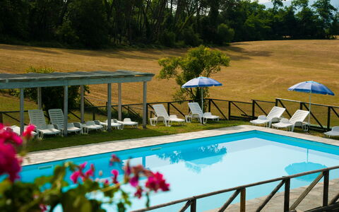 Green Hills 13: Piscina, Mobili Da Esterno, Mobilia, Ricorrere, Lettino, Tempo Libero, Biancheria, Eco Hotel, Hotel, Ombrello