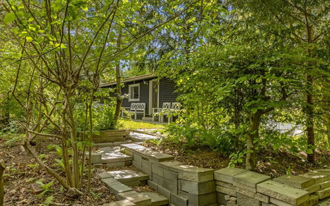 Afke - 660M from the Sea: Arbusto, Giardino, Groundcover, Passerella, Shade, Backyard, Landscaping, Edifici Giardino, Cortile, Plank