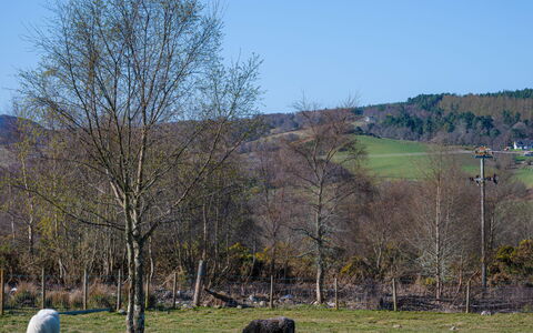 Crofters View: Arbusto, Zona Residenziale, Casa, Estate, Giardino, Prato, Landscaping, Cortile, Dimora, Villa