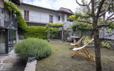 Il Glicine: Arbusto, Zona Residenziale, Casa, Estate, Giardino, Prato, Landscaping, Cortile, Dimora, Villa